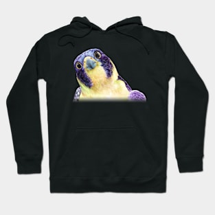 Colorful Peregrine Falcon in Watercolor Hoodie